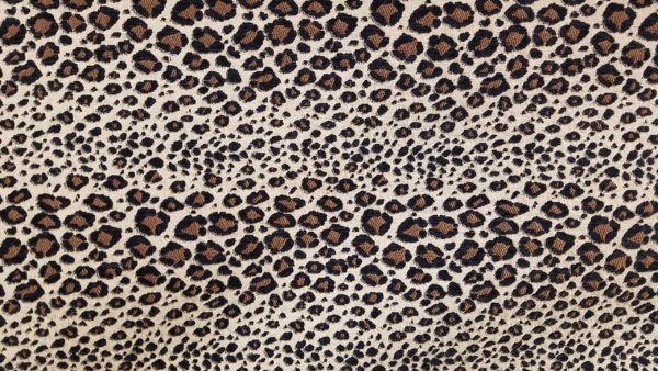 13KANP Leopard Animal Upholstery Fabric