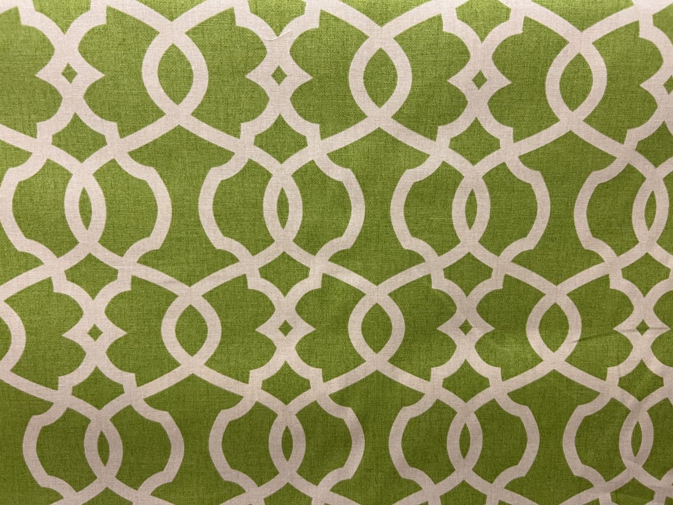 Emory Leaf Green Home Decor Fabric Rich Tex