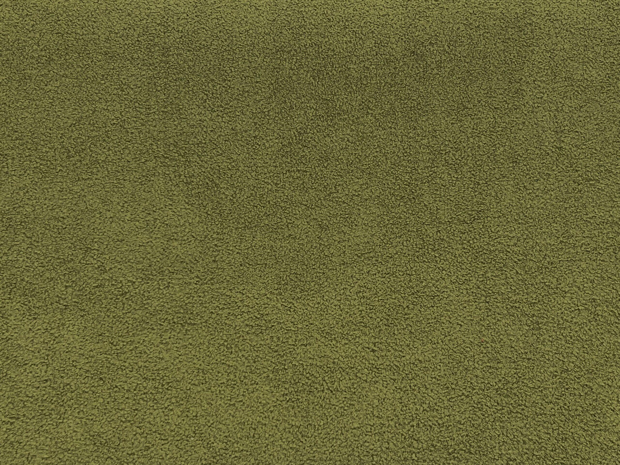 Greendale Home Fashions Hyatt Moss Solid Stain Resistant