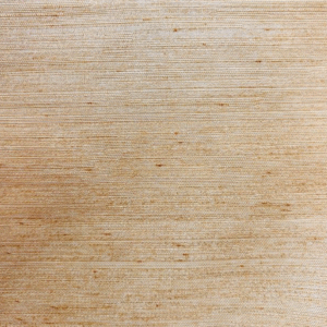 Raw Silk Champagne Solid Home Decor Fabric