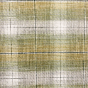 1311705 Plaid Sprout Patterned Home Decor Fabric