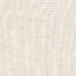 Slub Duck Natural Solid Home Decor Fabric