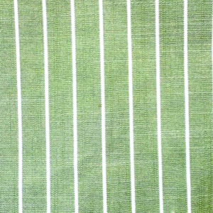 Rhett Willow Green Stripe Patterned Home Decor Fabric