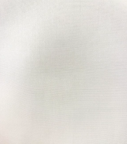 Canvas White Indoor/Outdoor Fabric by Sunbrella