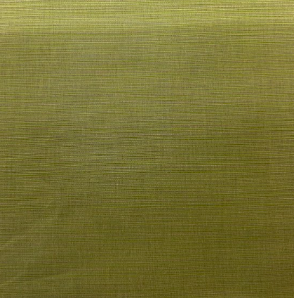 Pensacola Seaweed Green Striped Indoor/Outdoor Fabric