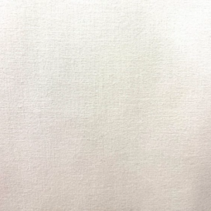 Absolute Chenille Snow White Solid Upholstery Fabric