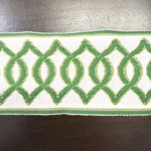 ZN 205/383 Green And White 2.75" Home Decor Tape Trim