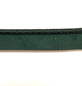BM300/288 Micro Lipcord Forest Green Home Decor Tape Trim